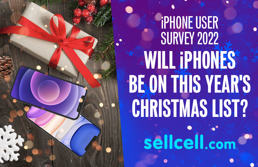 iPhone User Survey 2022